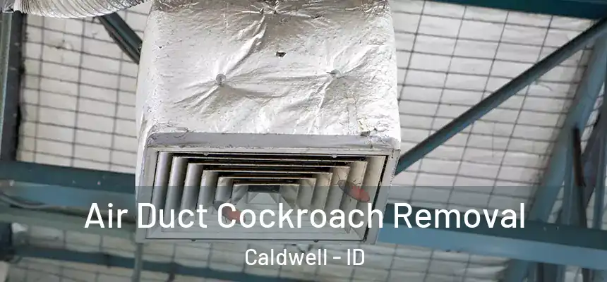  Air Duct Cockroach Removal Caldwell - ID