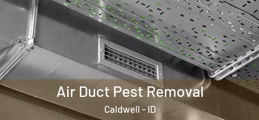  Air Duct Pest Removal Caldwell - ID