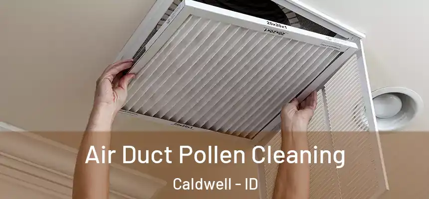  Air Duct Pollen Cleaning Caldwell - ID