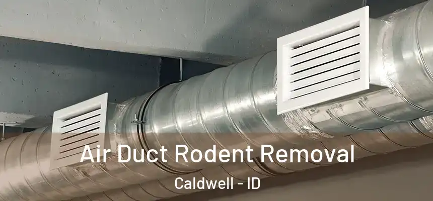  Air Duct Rodent Removal Caldwell - ID