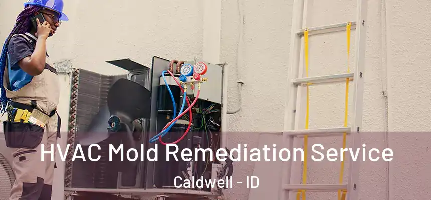  HVAC Mold Remediation Service Caldwell - ID