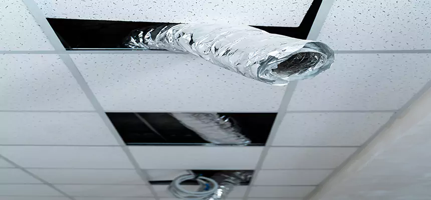 Our Air Duct Pet Hair Removal Services in Caldwell, ID