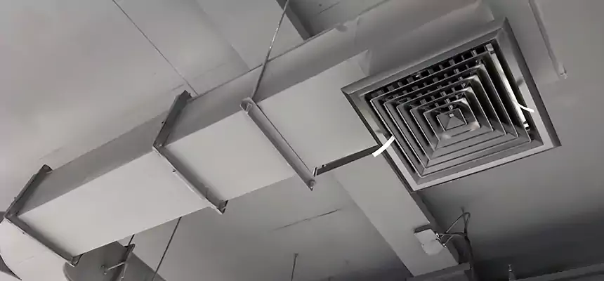 Restorative Allergy Relief Vent Cleaning – Coil, Blower & Housing Detail in Caldwell