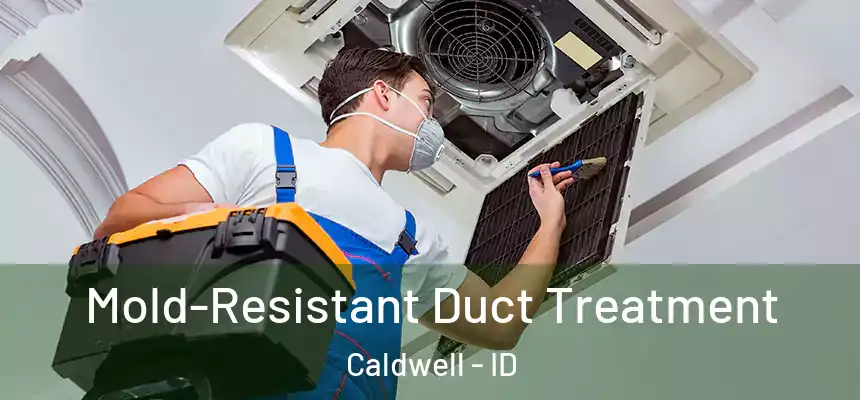  Mold-Resistant Duct Treatment Caldwell - ID
