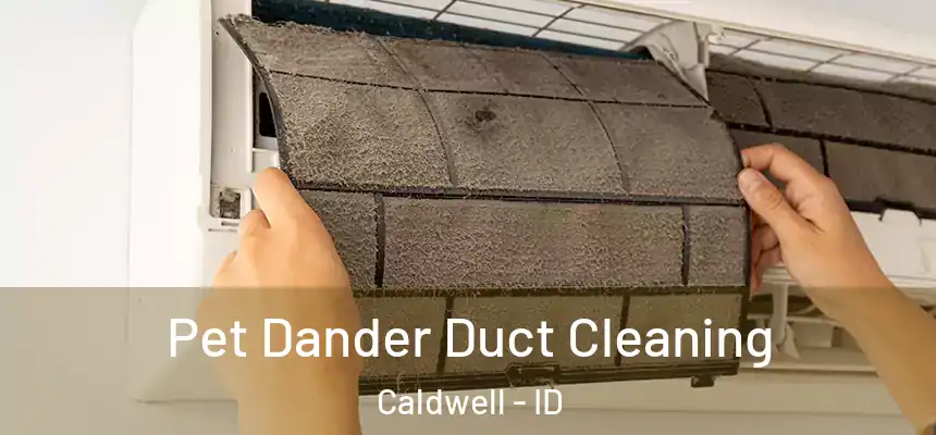 Pet Dander Duct Cleaning Caldwell - ID