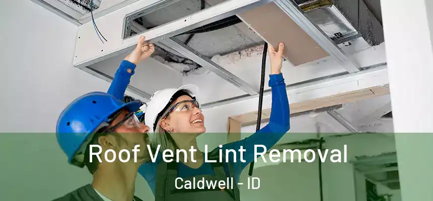  Roof Vent Lint Removal Caldwell - ID