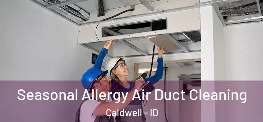 Seasonal Allergy Air Duct Cleaning Caldwell - ID