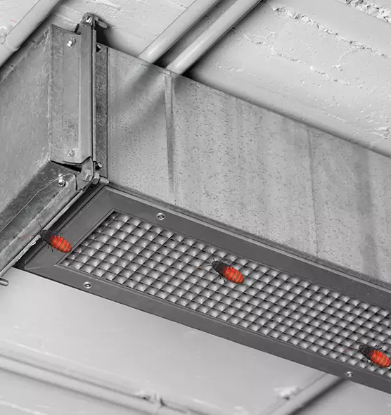 About Air Duct Cockroach Removal in Caldwell, ID
