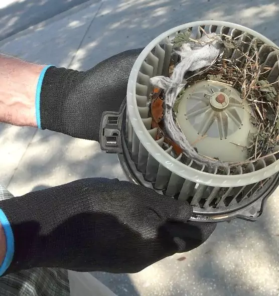 About Air Duct Mice Removal in Caldwell, ID