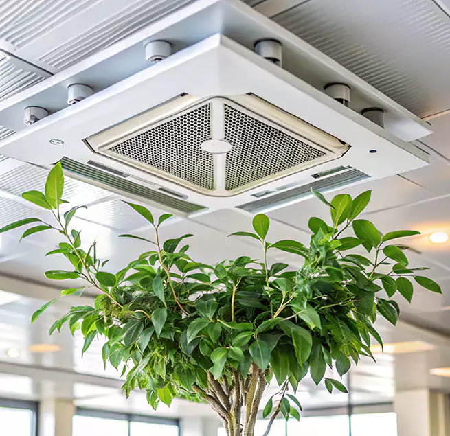 Why Homeowners & Businesses Trust Us in Caldwell, ID?